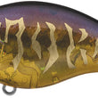 Crankbait Evergreen CH-1