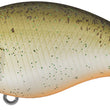 Crankbait Evergreen CH-1