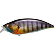 Megabass Big M 4.0