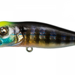 Megabass Pop-X