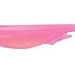 Megabass Spark Shad