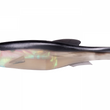 Megabass Mag Draft estilo libre