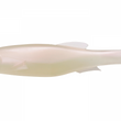 Megabass Mag Draft estilo libre