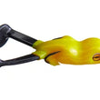 Grenouille écume Bigfoot