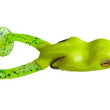 Grenouille écume Bigfoot