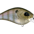 13 Crankbait de pesca Flatty Daddy