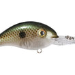 Crankbaits modelo Strike King Pro