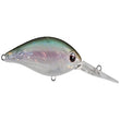 Crankbait Evergreen CR-6