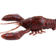 Megabass Sleeper Craw