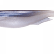 Megabass Spark Shad
