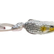 Grenouille Molix Supernato