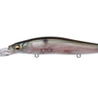 Megabass Vision Oneten +2