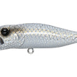 Megabass Pop-X