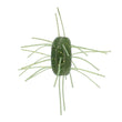 YAMAMOTO FUZZY NUT 6PK