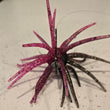 Seto Baits Hydra Hooks