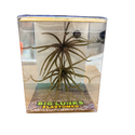 Big Lunks Elastomer Urchin Style Bait (Compact Sizes)