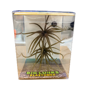 Big Lunks Elastomer Urchin Style Bait (Compact Sizes)