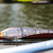 Berkley Magic Swimmer