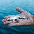Berkley Magic Swimmer