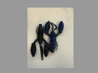 SETO BAITS MONDO CRAW