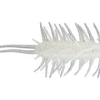 HIDEUP Coike Shrimp MAGNUM