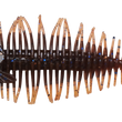 DSTYLE Geelacanth ( 2 Sizes)