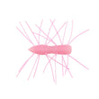 Zman Fuzzy Bugz