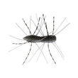 Zman Fuzzy Bugz