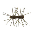 Zman Fuzzy Bugz