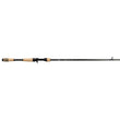 Fenwick Eagle Bass Casting Rod