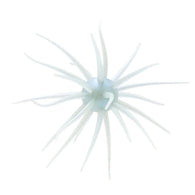 HIDEUP Coike Fullcast