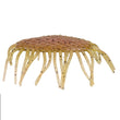 Netbait HexTek Virus