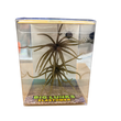 Big Lunks Elastomer Urchin Style Bait (Compact Sizes)