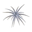 Berkley PowerBait MaxScent 'Moeba