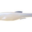 Megabass Mag Draft Freestyle (2 Sizes) *NEW 5-inch*