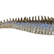 Seto Baits Mondo Minnow