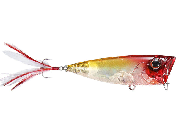Popper Evergreen OB Topwater