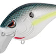 SPRO HUNTER CRANK 65 SB AND MD