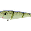 Spro Sashimmy Swimmer Swimbait