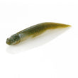 Savage Gear Toughtec Dragon Tail Slug