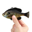 Savage Gear Pulse Tail Bluegill Line Thru