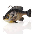 Savage Gear Pulse Tail Bluegill RTF