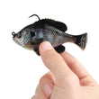 Savage Gear Pulse Tail Bluegill RTF