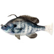 Savage Gear Pulse Tail Bluegill RTF