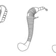 Core Tackle TUSH (The Ultimate Swimbait Hook)