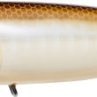 Yo-Zuri Pro Popper