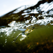 Rapala CLAPTAIL™ 110