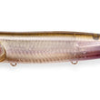 Megabass Dogmax (Sliding Model)