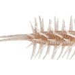 HIDEUP Coike Shrimp BIG