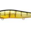 Megabass Vision Oneten SR